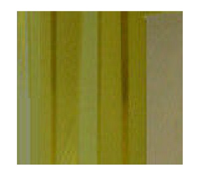 Joy Perfume (Women) Type Body Oils